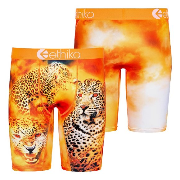 ethika Shorts Ethika Mens Underwear Staple Series Poshmark